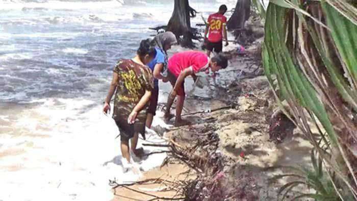 201609191337281-20021028190209-696x392