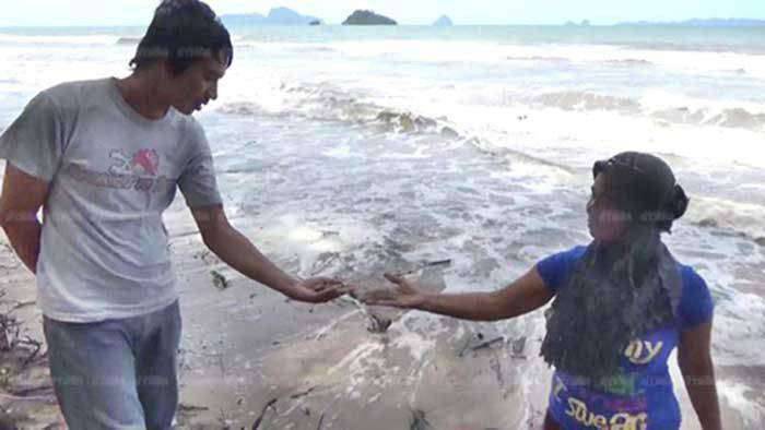 201609191337324-20021028190209-696x392