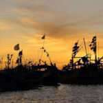 Myanmar-Forced-Exodus_Muha
