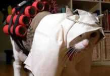 “การก่อการร้าย” : ความหมายอันคลุมเครือ (ตอนที่ 2)