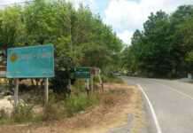 “ลูกแค่ผิดที่ติดน้ำกระท่อม ถึงกับต้องยิงเขาเลยหรือ…” แม่เหยื่อวิสามัญ “ทุ่งยางแดง”