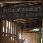 IMG_8321 (1.1)