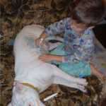 why_mothers_scream_so_much_1666131626.jpg_resized_552