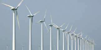 พลังงานลม อีกหนึ่งทางเลือก แก้วิกฤติพลังงาน