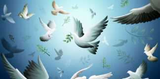 สันติภาพที่ปลายด้ามขวาน