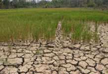 ปีนี้ภัยแล้งมาเร็ว! นายกฯ สั่งทุกหน่วยติดตามสถานการณ์ใกล้ชิด