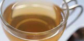 อย่าตื่นตูม!! “รางจืด” กินได้ปลอดภัย อย.เตือน “อย่ากินติดต่อกัน”