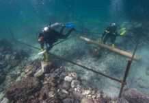 โอมานค้นพบซากเรือเก่าแก่อายุกว่า 500 ปี ของ “วาสโก ดา กามา” นักสำรวจโปรตุเกส