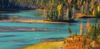 คานาสือ…ดินแดนบริสุทธิ์ที่เหลืออยู่ในโลก