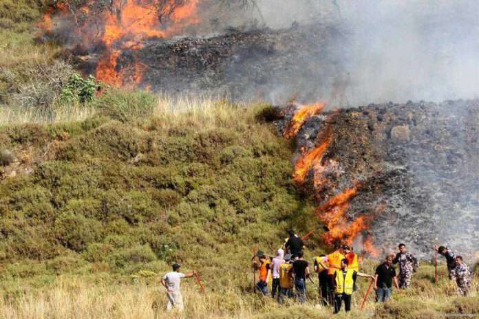 2013_6-10-Palestinians-try-to-put-out-fire