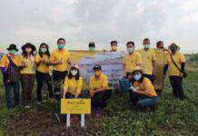 อ.บางใหญ่ ร่วมกับ พช.นนทบุรีปลูกป่าเฉลิมพระเกียรติ เนื่องในโอกาสมหามงคลพระราชพิธีบรมราชาภิเษก