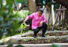 สื่อดังญี่ปุ่นสุดทึ่ง!! “ปฏิบัติการ Quick win 90 วัน ปลูกผักสวนครัว สร้างความมั่นคงทางอาหาร” ของพช. เห็นกับตาชาวบ้านยึดหลักเศรษฐกิจพอเพียง พึ่งพาตัวเอง ร่วมใจฝ่าวิกฤตโควิด-19