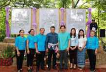 พช. หนุนนวดแผนไทยในชุมชนท่องเที่ยว OTOP นวัตวิถี เตรียมพร้อมรับนักท่องเที่ยว ตามนโยบายส่งเสริมการเดินทางท่องเที่ยวในประเทศของรัฐบาล