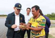 ศอ.บต. ผลักดัน “ปูทะเล” เป็นสัตว์เศรษฐกิจใหม่ จชต. ขณะที่ ม.อ. ปัตตานี ตั้งเป้า ให้พื้นที่ส่งออกปูทะเลมูลค่ากว่า 5 ล้านบาทต่อปี