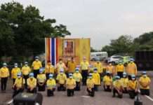 อธิบดีพช. ร่วมกับผู้ว่าราชการจังหวัดชัยนาทและภาคีเครือข่าย รวมพลังจิตอาสาปลูกป่าตาล และยางนาเฉลิมพระเกียรติ วันฉัตรมงคล 4 พ.ค. 2564