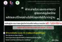 ดีพร้อม เปิดคลาสช่วยผู้ประกอบการเรียนรู้การผลิต “กระชายขาว – ฟ้าทะลายโจร”