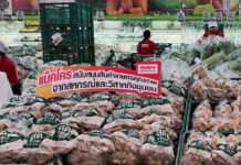 แม็คโคร ผนึก กรมส่งเสริมการเกษตร รุกช่วยวิสาหกิจชุมชนปลูกขิง จ.เพชรบูรณ์