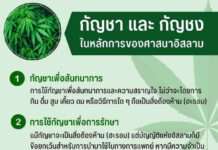 กัญชาและกัญชง ในหลักการของศาสนาอิสลาม มุสลิมใช้ได้ไหม?