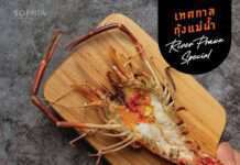 พบกับ….เทศกาลกุ้งแม่น้ำ River Prawn Festival ที่ร้านอาหารโซเฟีย ได้เร็วๆนี้