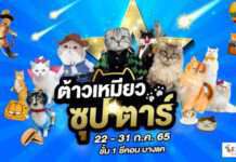 ทาสแมวต้องกรี๊ด!!! “ซีคอน บางแค” จัดงาน “ต้าวเหมียว ซุป’ตาร์”