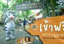ชวนร่วมงานวันเสือโคร่งโลก 2565 “TIGERS NEXT GEN เสือโคร่งต้องไปต่อ”