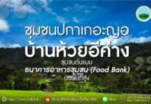 “ชุมชนปกาเกอะญอบ้านห้วยอีค่าง” ชุมชนต้นแบบธนาคารอาหารชุมชน (Food Bank) บนพื้นที่สูง
