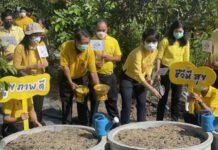 สพอ.ไทรน้อย ร่วมกิจกรรมเนื่องในวันดินโลก “5 ธันวาคม 2565” ณ ศูนย์เรียนรู้ทฤษฎีใหม่ “โคก หนอง นา โมเดล”