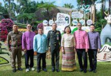 “สีสันแห่งดอยตุง” ครั้งที่ 9 ชวนเที่ยวสุขใจในแบบ “Future Forest”