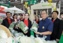 ซูเปอร์ฟู้ด กู้ดเฮลท์ ‘ผักเคล’ โครงการหลวง ผลผลิตเกษตรกรบนพื้นที่สูง สู่แม็คโคร