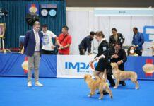 เริ่มแล้ว!! “มหกรรมคนรักสุนัข” อันดับ 1 ของประเทศไทย SmartHeart presents Thailand International Dog Show 2023 ครั้งที่ 21