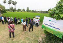 “วรุณา” เปิดตัวโครงการ ปลูกข้าวเปียกสลับแห้ง ขั้นกว่าของการทำนาที่ช่วยลดโลกร้อน เพิ่มรายได้จากคาร์บอนเครดิต ช่วยเกษตรกร