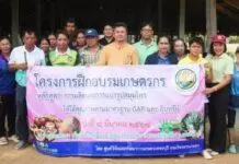 บ้านหมอละออง “สวนสมุนไพร GREEN HOUSE จ.เพชรบุรี” ได้รับการรับรอง GAP : Good Agricultural Practices