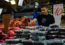 การเมืองมะเขือเทศและบทบาทที่ซับซ้อนระหว่าง “ตุรกี-อิสราเอล”