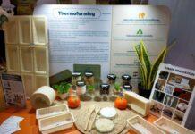 “พลาสติกจากแป้งมัน” ปรับโฉมบรรจุภัณฑ์ให้เป็นมิตรต่อสิ่งแวดล้อม ต้นทุนต่ำ พร้อมดันสู่ตลาดโลก