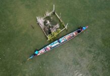 ‘บ้านปลามีชีวิต’ จากชุมชนเล็กในสงขลา สู่นวัตกรรมระดับโลก!