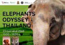 TK Park ชวนเปิดโลก “Elephants Odyssey Thailand” เสวนา หนัง และ ศิลปะ เพื่อช้าง
