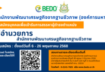 เปิดรับสมัครบุคคลเพื่อสรรหาเป็น “ผู้อำนวยการ BEDO”
