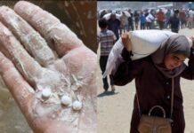 จนท.ฮามาสเผย อิสราเอลลอบขนยาเสพติด-อุปกรณ์จารกรรมเข้ากาซา หวังบ่อนทำลายเสถียรภาพ