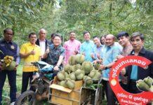 “กระบี่โอเค” เมืองน่าอยู่ ผู้คนน่ารัก