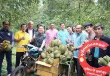“กระบี่โอเค” เมืองน่าอยู่ ผู้คนน่ารัก