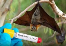 สธ. ตั้งด่าน 3 สนามบิน คัดกรองเข้ม “ไวรัสนิปาห์” ผู้เดินทางจากอินเดีย หลังปี’68 เข้าไทยกว่า 2.55 แสนคน